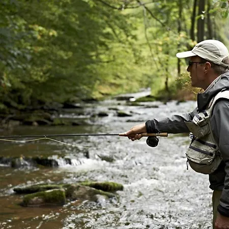 Le Du Chateau Dans Le Centre De