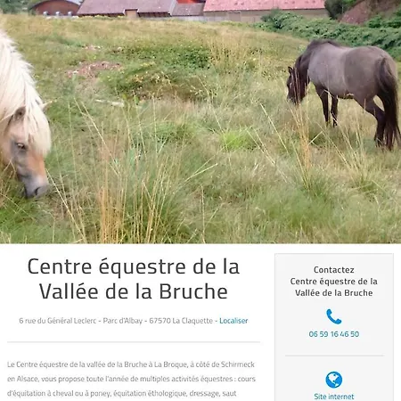 Le Du Chateau Dans Le Centre De Apartament