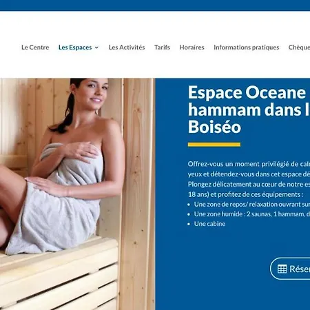 Le Du Chateau Dans Le Centre De * Schirmeck