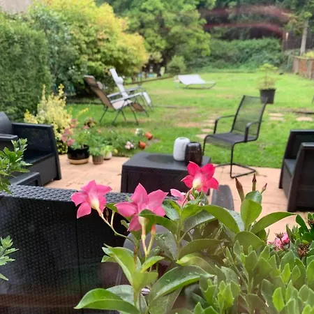 Le Du Chateau Dans Le Centre De Schirmeck