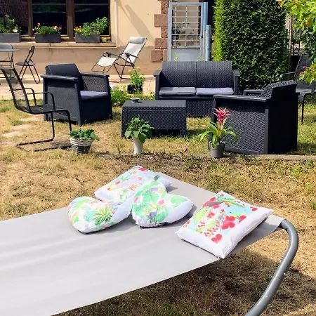 Le Du Chateau Dans Le Centre De Schirmeck